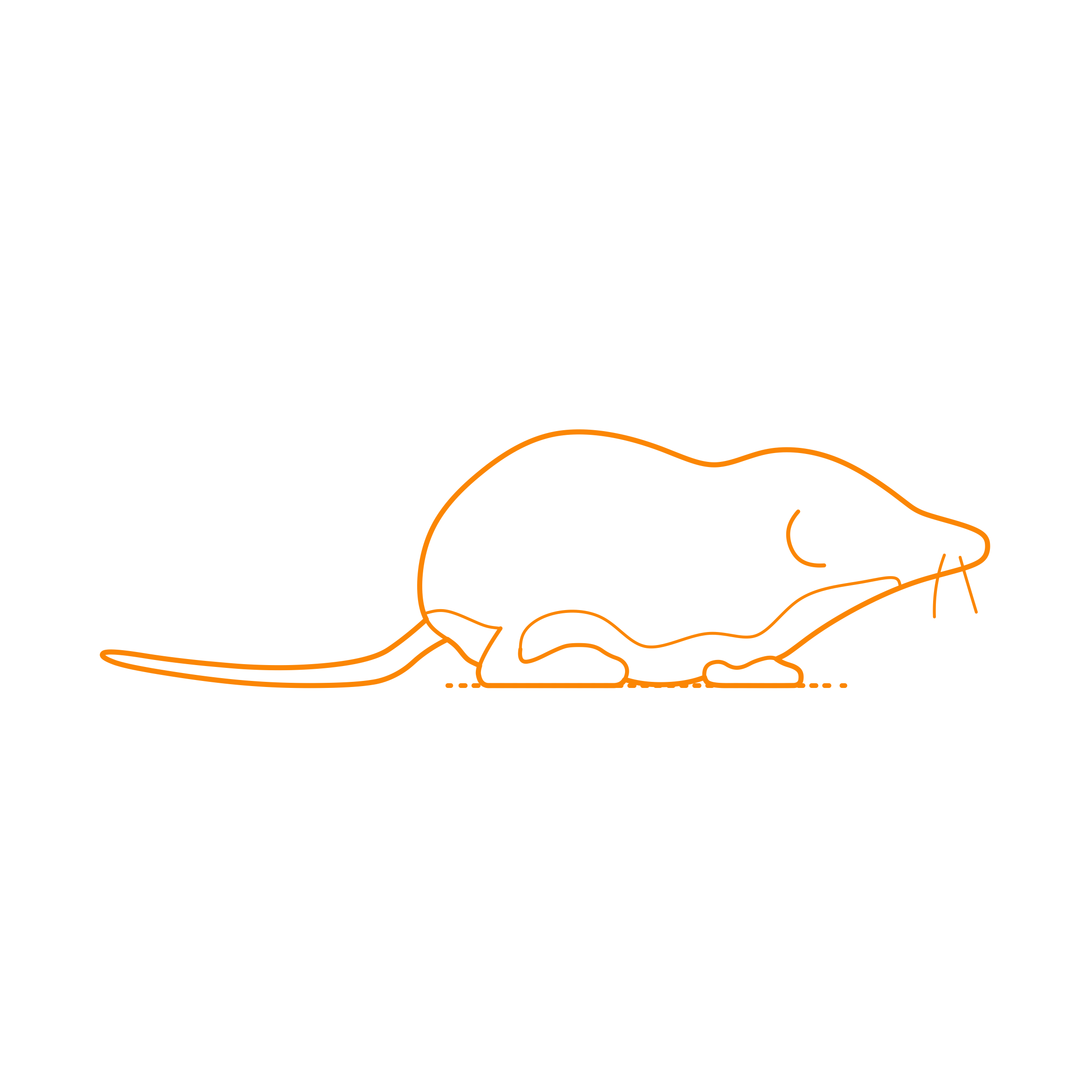 Animals Eulipotyphla American Water Shrew Outline Svg Vector Free Vectors